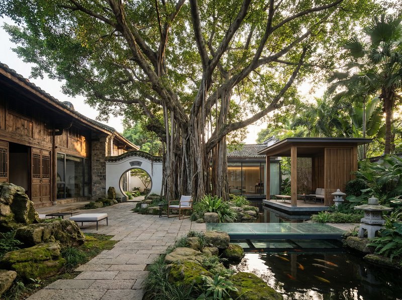 抖阴古榕树纪录片视频